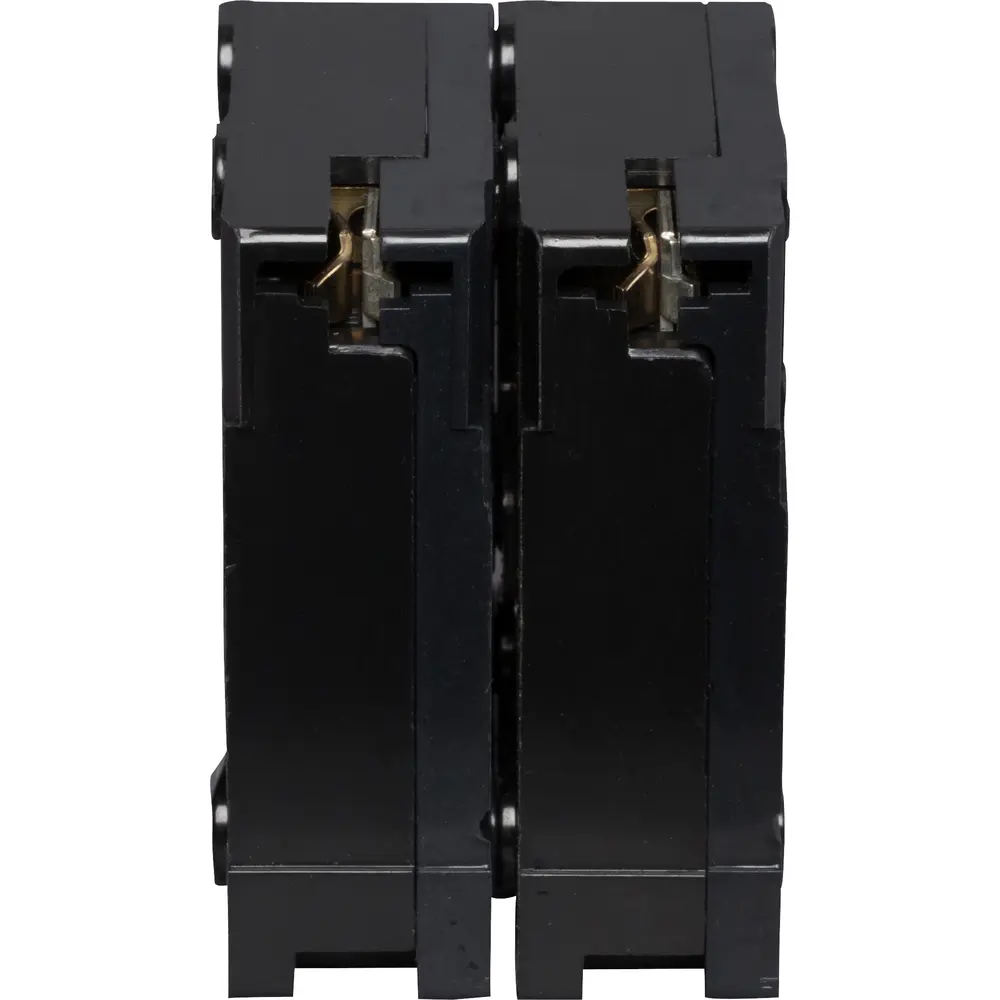 125 A 2-Pole BR Main and Sub-Feed Lug Block