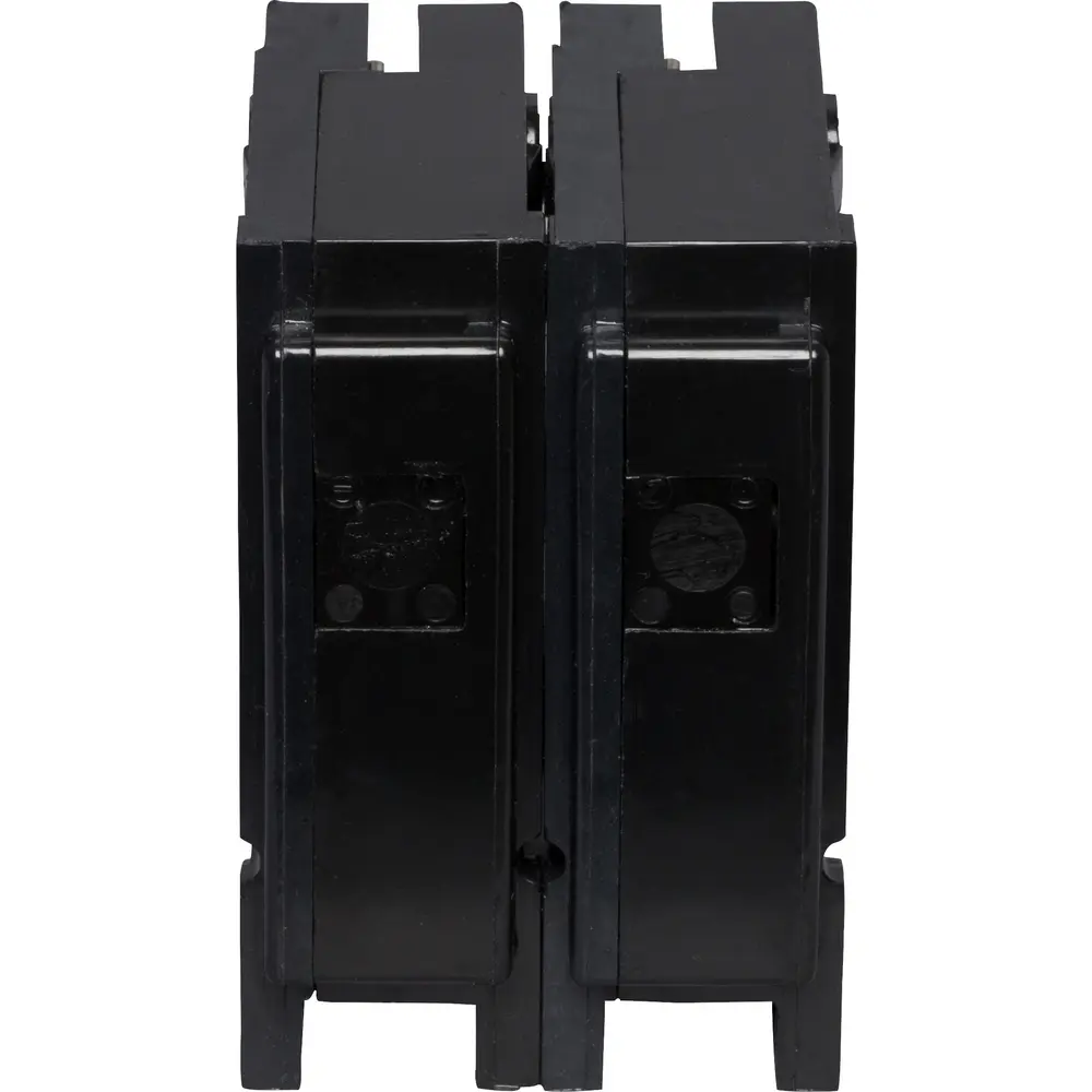 125 A 2-Pole BR Main and Sub-Feed Lug Block