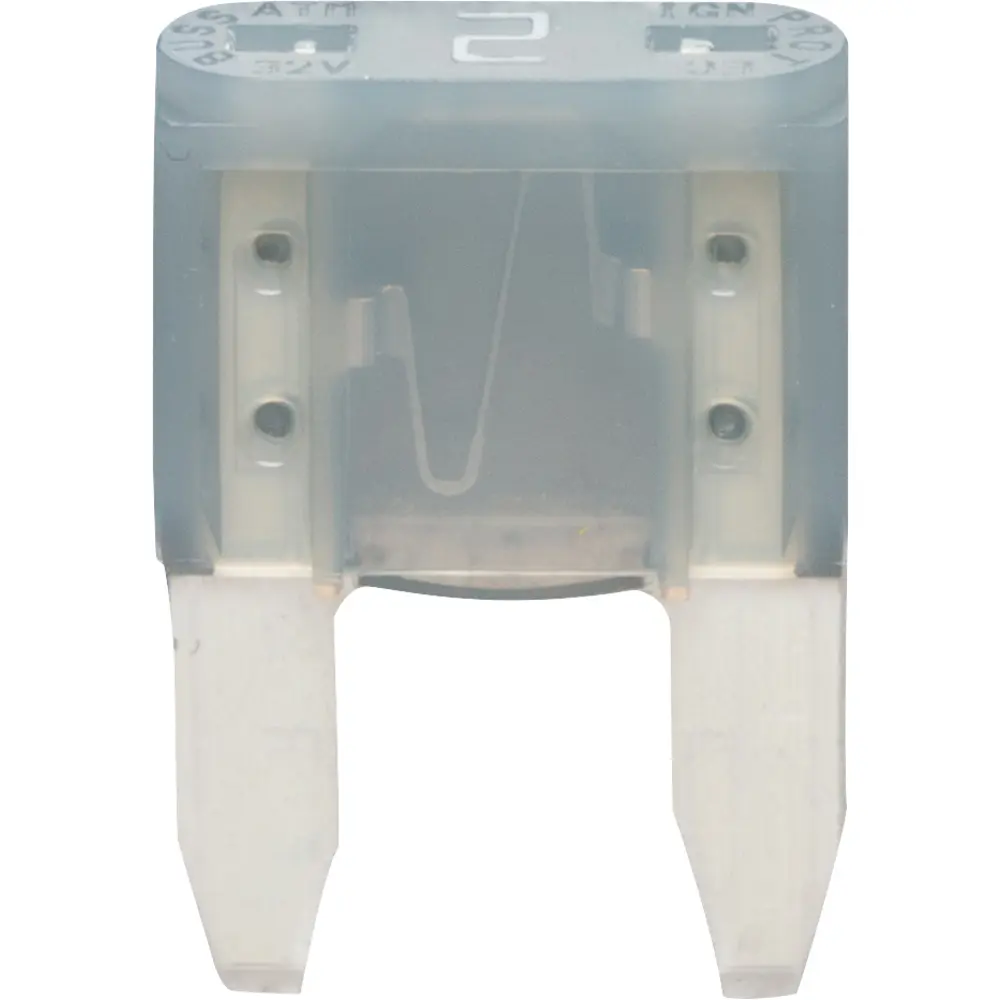 2 A Blade Fuse, 32 VDC