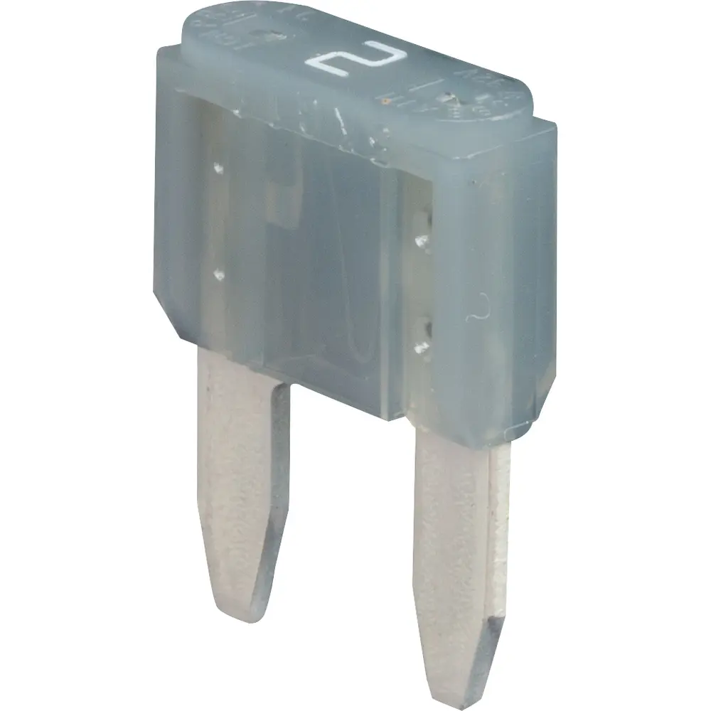 2 A Blade Fuse, 32 VDC